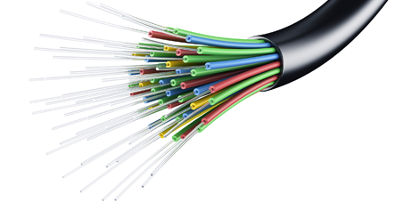fiber